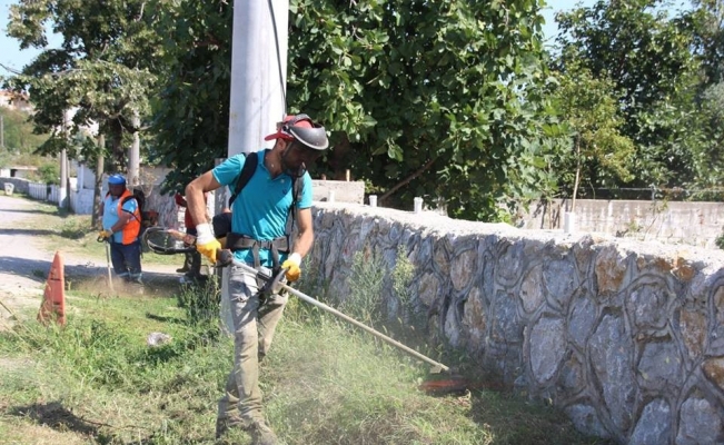 Akçakoca Belediyesi ekipleri uzayan otları temizliyor