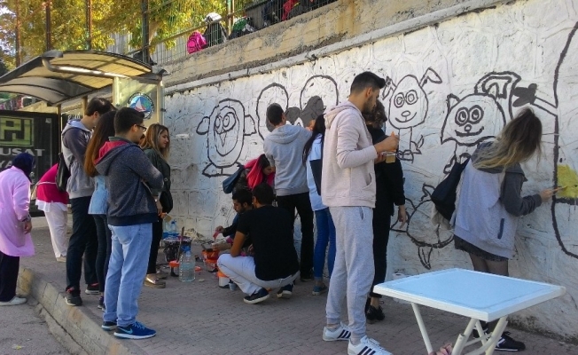 Düzce Üniversitesi öğrencileri okul duvarına renk kattı