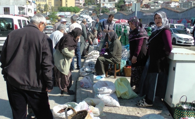 Kestane köylünün yüzünü güldürdü