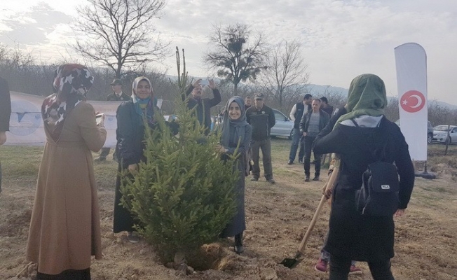 KYK’da kalan öğrenciler fidanları toprakla buluşturdu