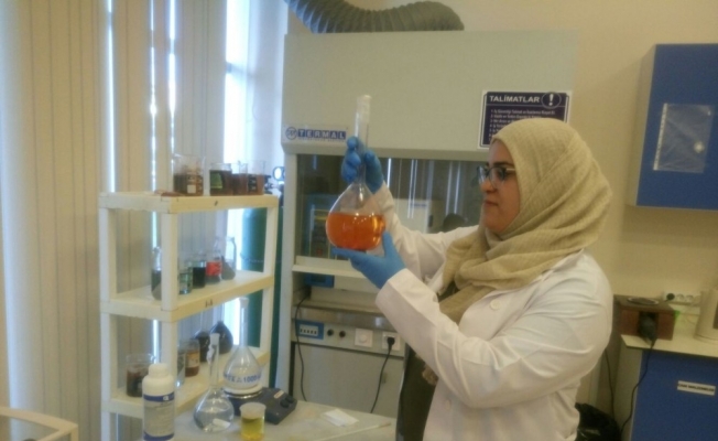 Araştırma laboratuvarı yabancı akademisyenleri ağırladı