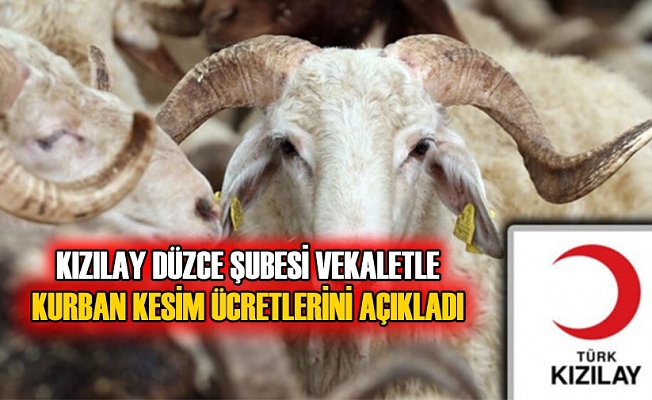 KURBAN ETLERİNİN BÜYÜK KISMI FİLİSTİN’E GÖNDERİLECEK