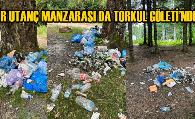 DÜZCE’NİN DOĞAL GÜZELLİKLERİNİ MAHVEDİYORLAR