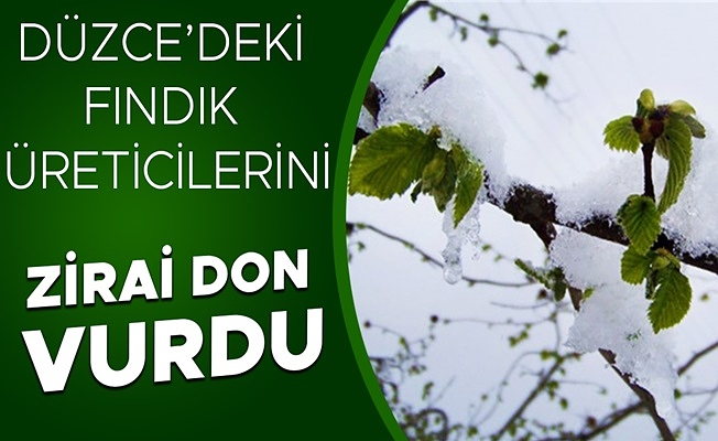 AKÇAKOCA ZİRAAT ODASI HASAR TESPİTİ İÇİN HAREKETE GEÇTİ