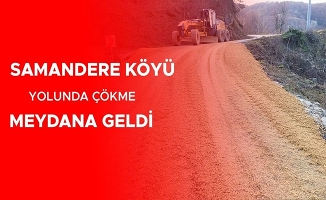 DÜZCE İL ÖZEL İDARESİ KÖY YOLUNDAKİ SORUNU GİDERDİ