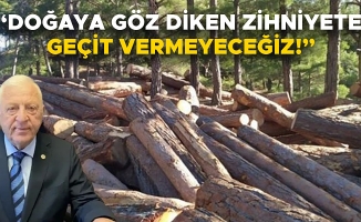 “BİR FİRMA ELİNDE ORMAN TAHRİP EDİLİYOR”